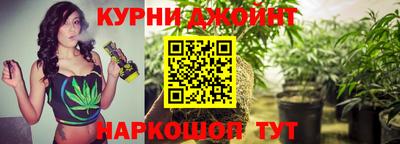 стафф Краснознаменск