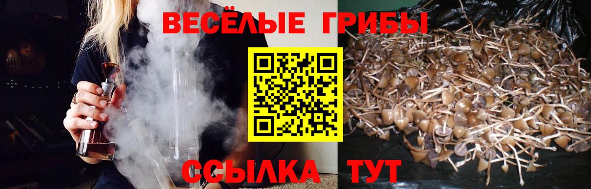 Галлюциногенные грибы Magic Shrooms  Псилоцибиновые грибы ЛСД  Коломна  Вход с VPN 